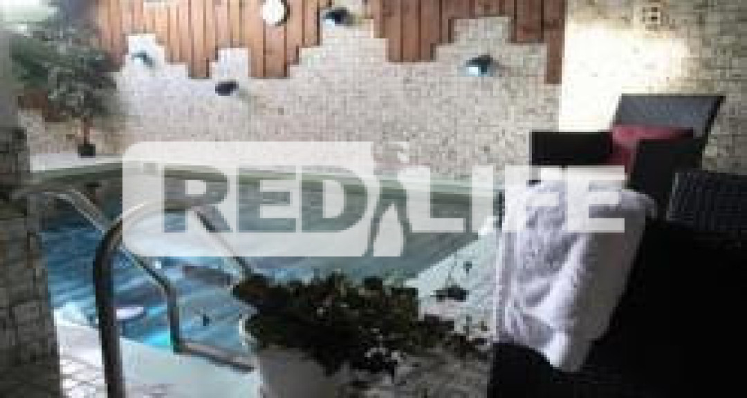Švýcarský management a profesionální organizace
