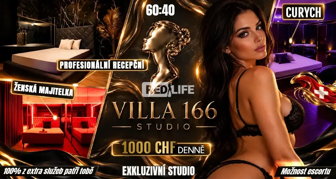 Villa 166: Pr&eacute;miov&eacute; pracovn&iacute; prostřed&iacute;