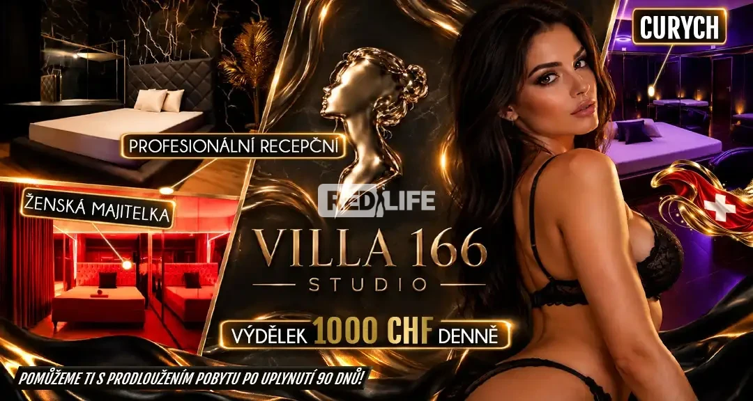 Villa 166: Pr&eacute;miov&eacute; pracovn&iacute; prostřed&iacute;