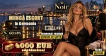 [Noir Hamburg] Job de escortă